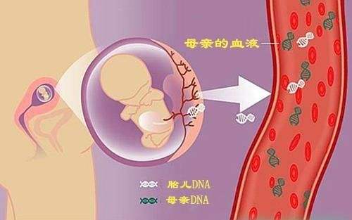 正规胎儿亲子鉴定多少钱？