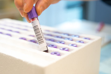 了解亲子关系需多少钱 了解亲子关系需多少钱